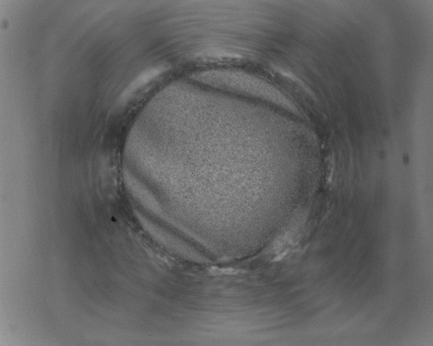 X0000070410870200606231825