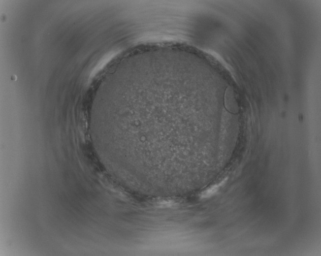 X0000070410871200606231825