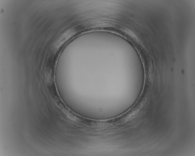 X0000070410873200606231825