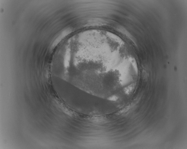 X0000070410874200606231825