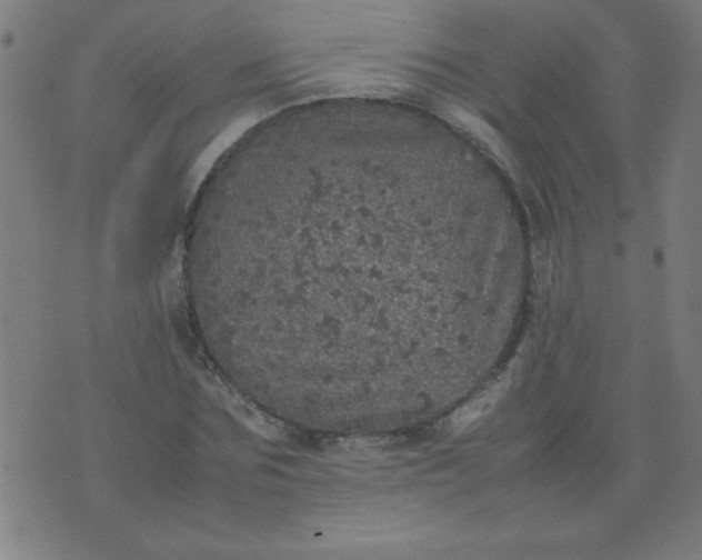 X0000070410875200606231825