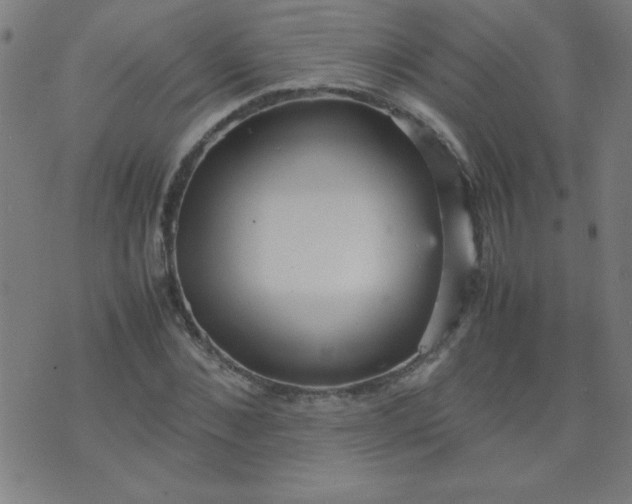 X0000070410876200606231825