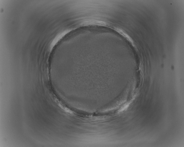 X0000070410877200606231825