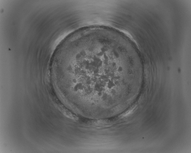 X0000070410879200606231825