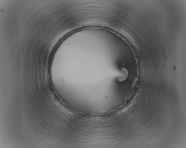 X0000070410880200606231825