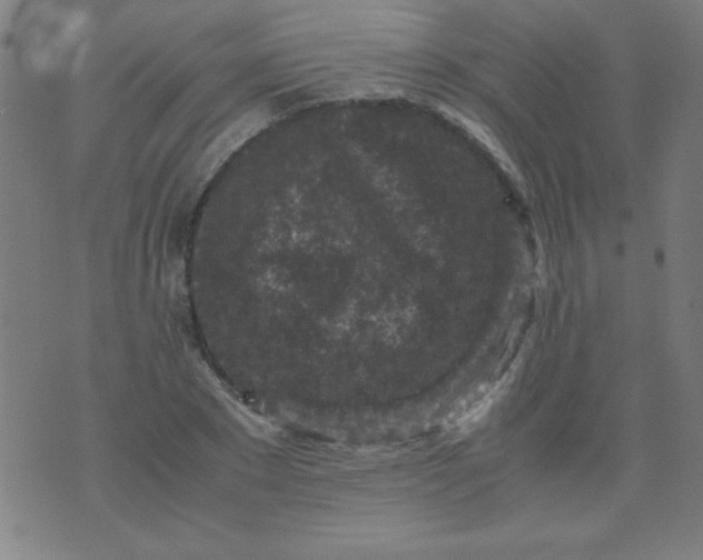 X0000070410881200606231825