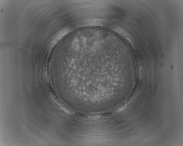 X0000070410882200606231825