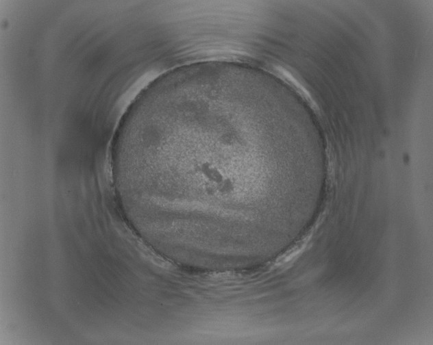 X0000070410883200606231825