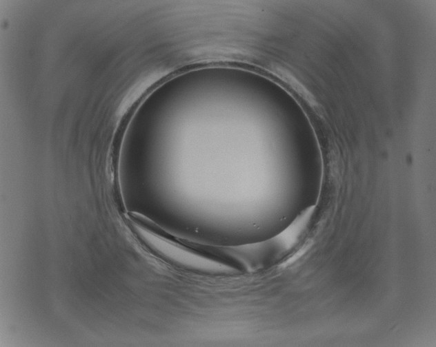 X0000070410885200606231825