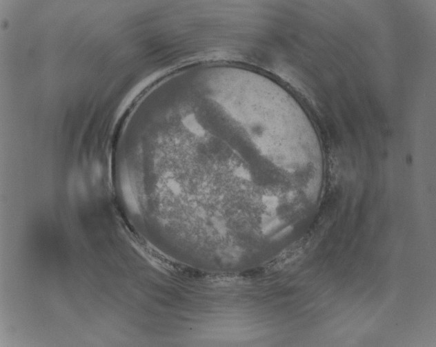 X0000070410886200606231825