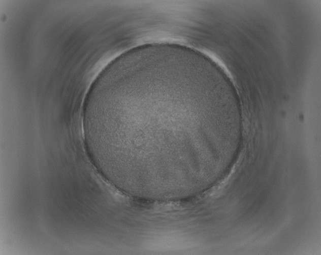 X0000070410887200606231825