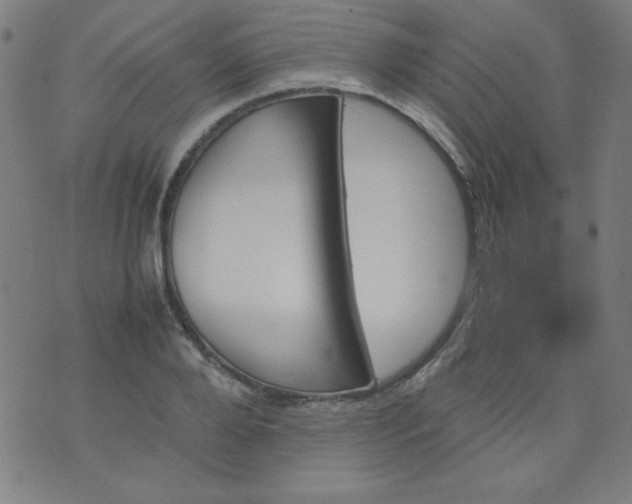 X0000070410888200606231825