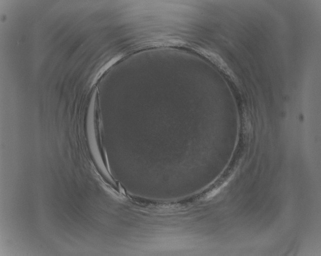 X0000070410889200606231825