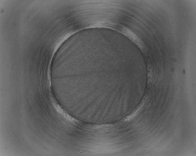 X0000070410892200606231825