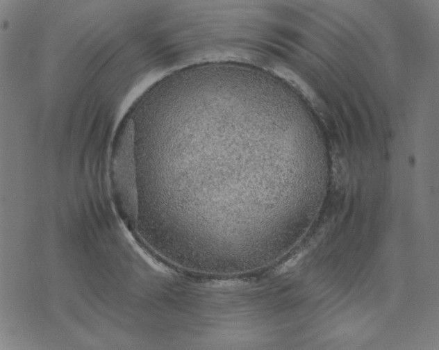 X0000070410894200606231825