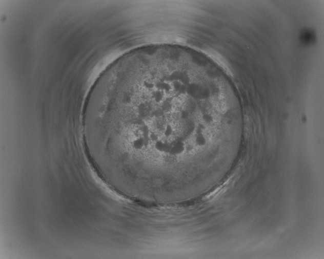 X0000070410895200606231825