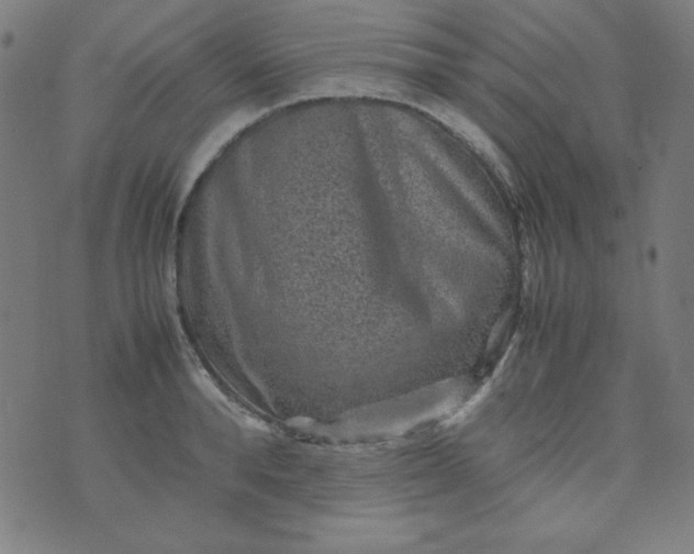 X0000070410896200606231825