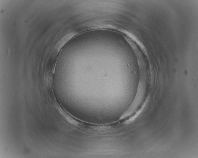 X0000070410897200606231825