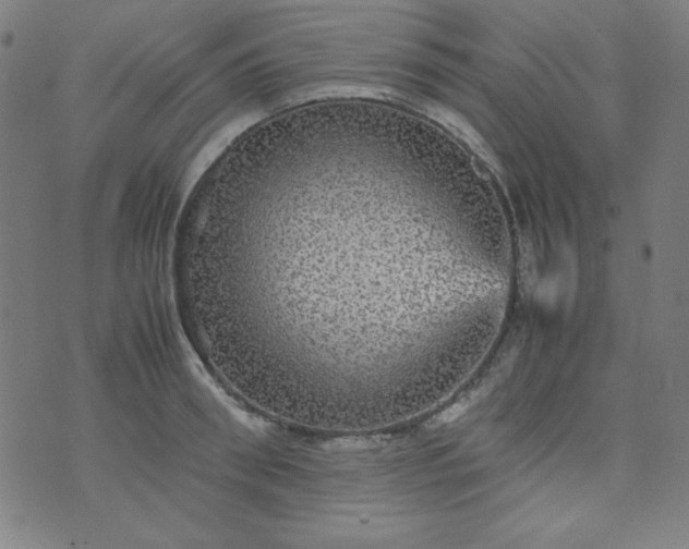 X0000070410898200606231825