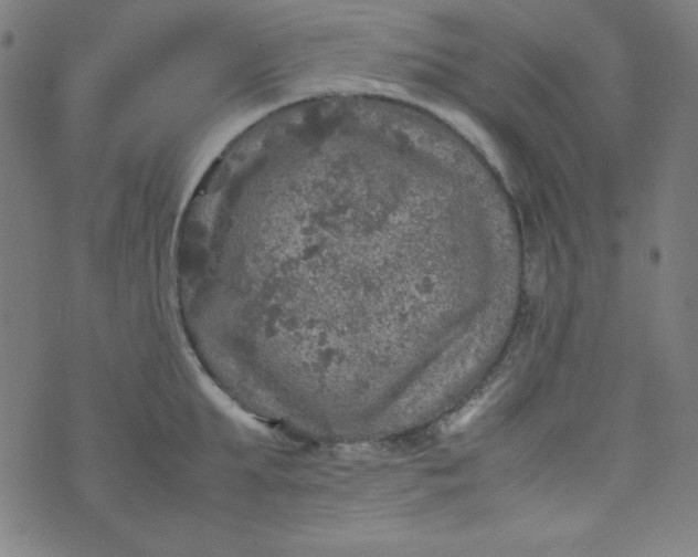 X0000070410903200606231825