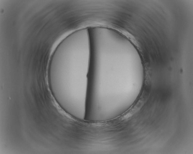 X0000070410904200606231825