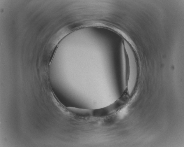 X0000070410905200606231825