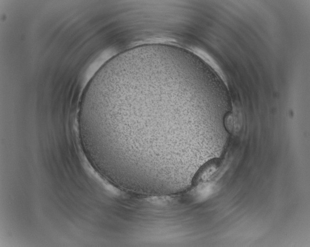 X0000070410906200606231825