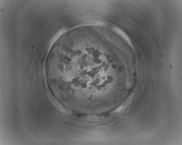 X0000070410907200606231825