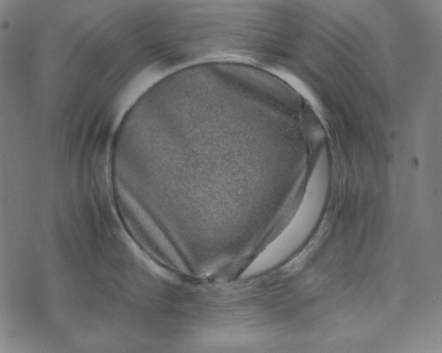 X0000070410910200606231825