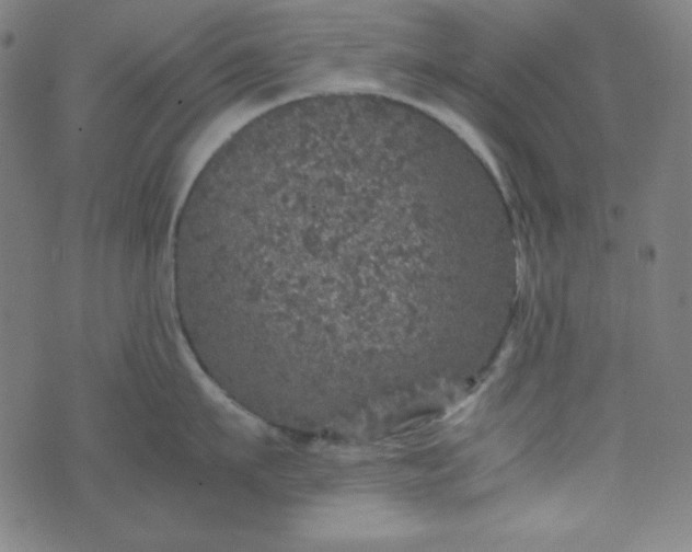 X0000070410911200606231825