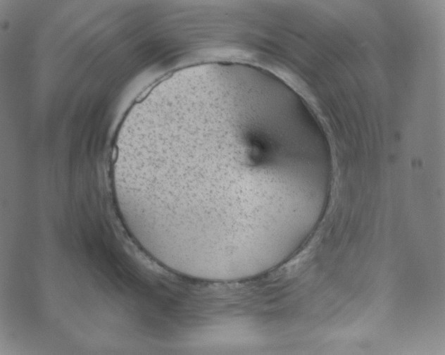 X0000070410912200606231825