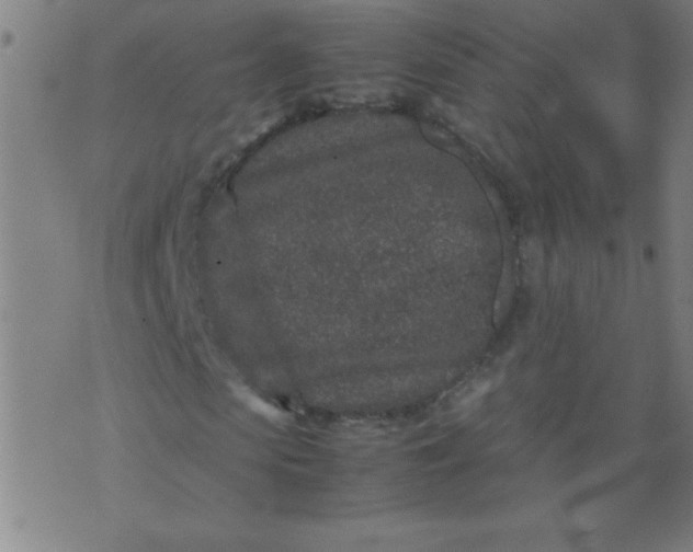 X0000070410913200606231824