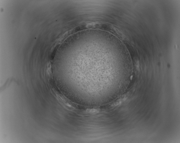 X0000070410914200606231824