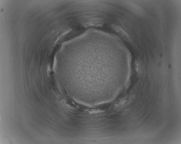 X0000070410915200606231824