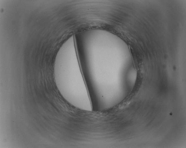 X0000070410916200606231824