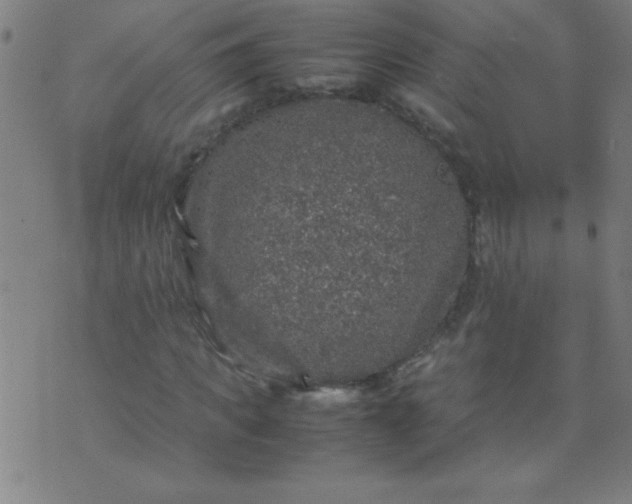 X0000070410917200606231824