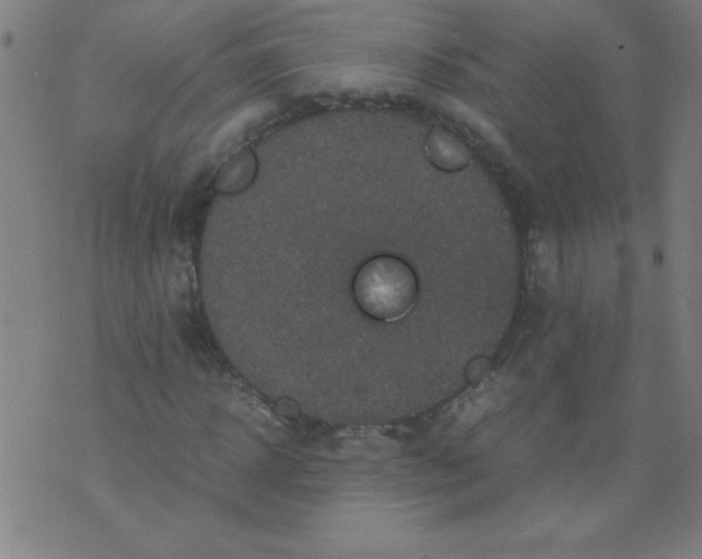 X0000070410918200606231824