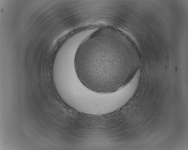 X0000070410920200606231824