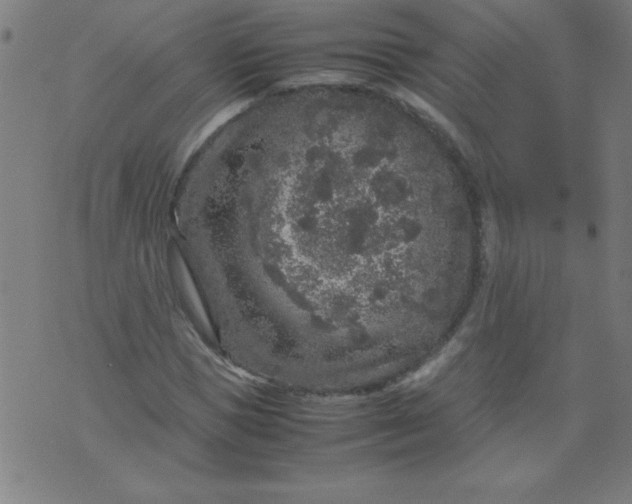 X0000070410921200606231824