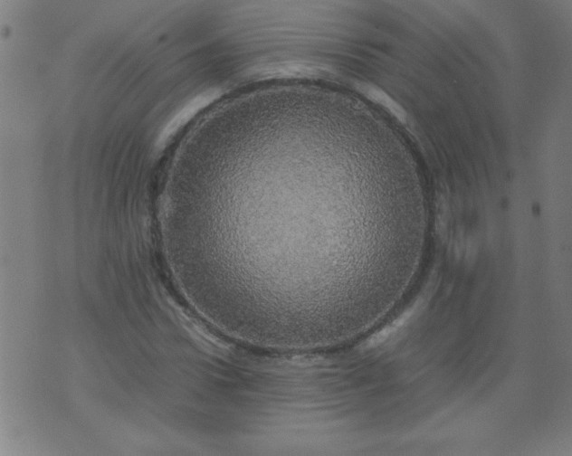 X0000070410922200606231824