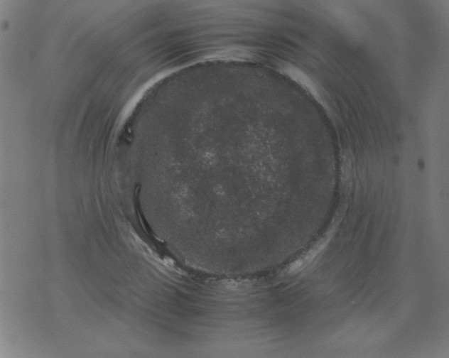 X0000070410923200606231824