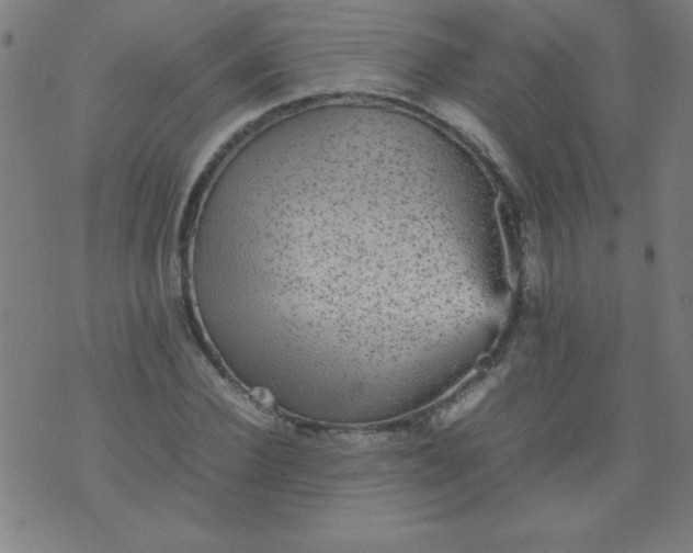 X0000070410924200606231824