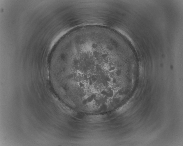 X0000070410925200606231824