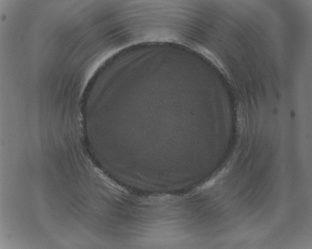 X0000070410926200606231824