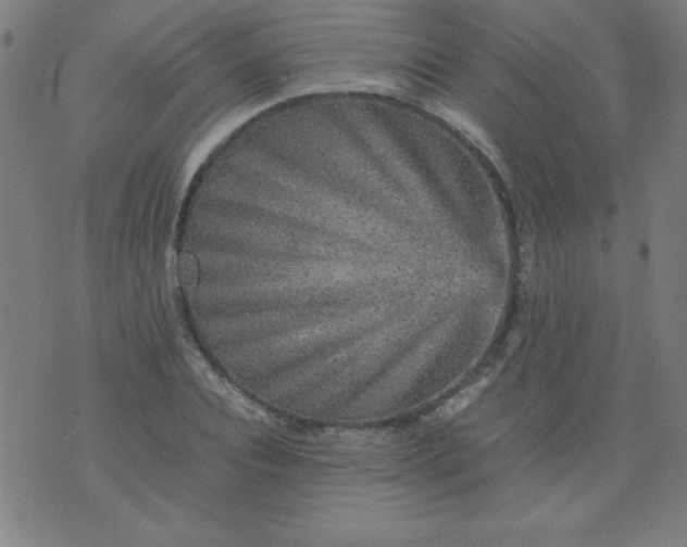 X0000070410928200606231824