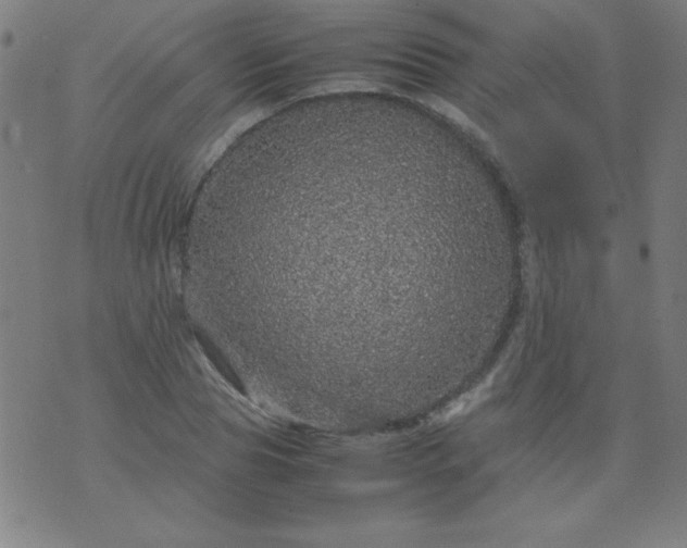 X0000070410929200606231824