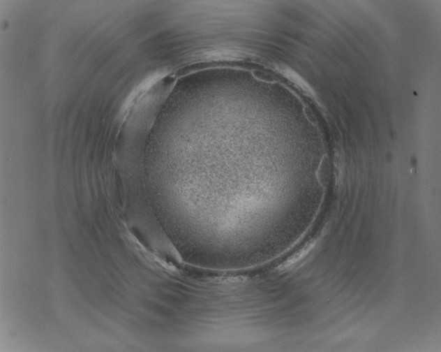 X0000070410930200606231824