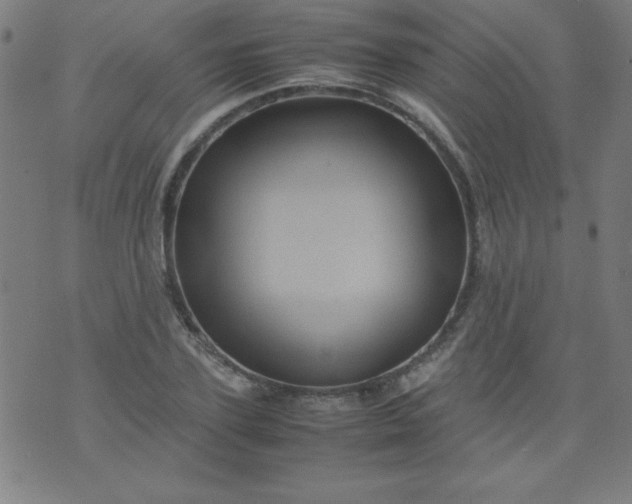 X0000070410931200606231824