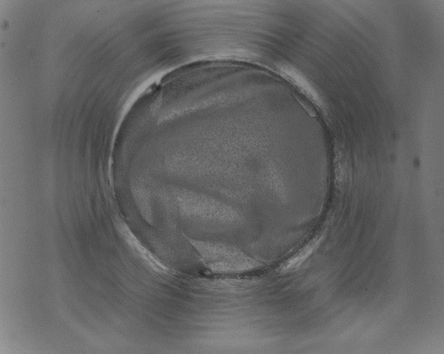 X0000070410932200606231824