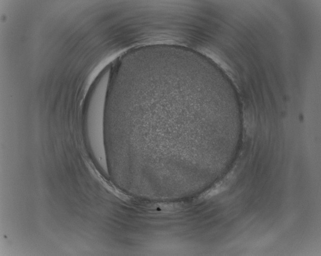 X0000070410933200606231824